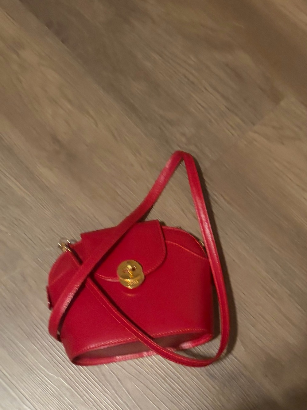 Oscar de la Renta  Red Leather Crossbody Shoulder Bag